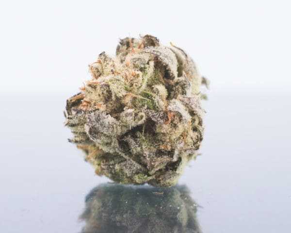 Comfort Tree Dispensary Southampton