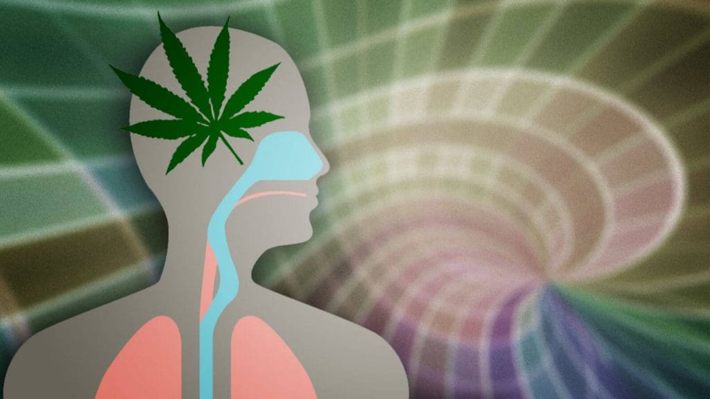 Marijuana May Improve Memory in Alzheimer’s By Removing Plaque-forming Proteins From The Brain