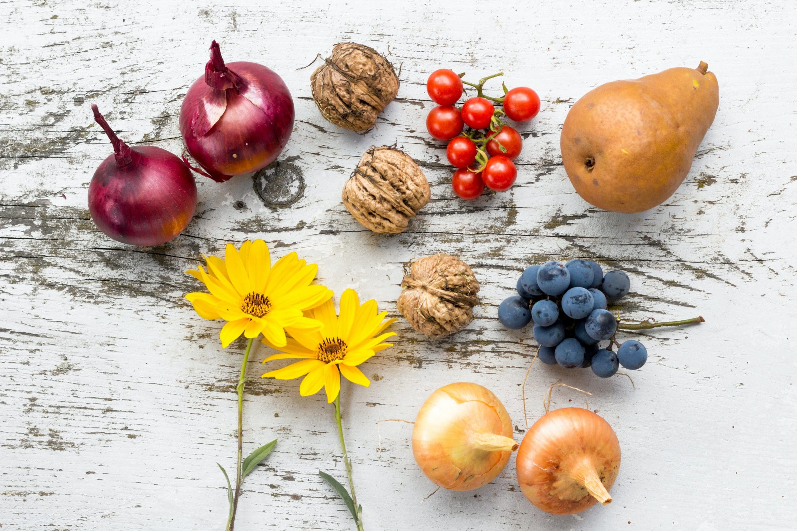 fruits-vegetables-flowers Flowers, fruits, and vegetables have flavonoids