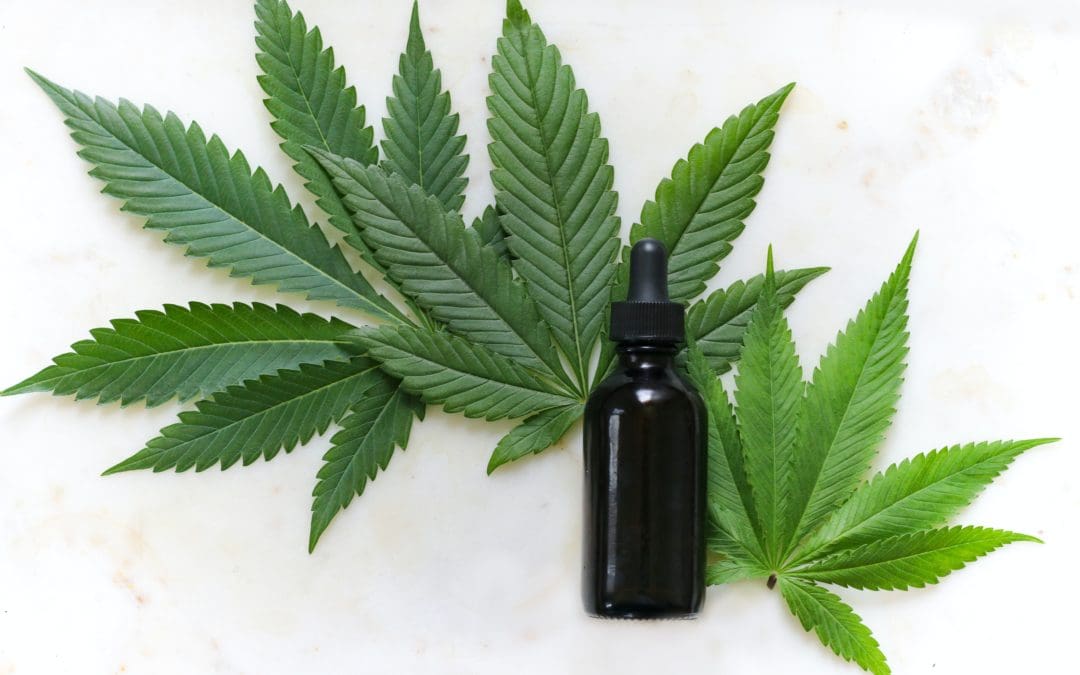 Cannabis leaves and serum bottle